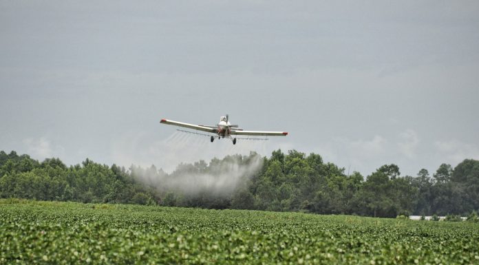 Fumigaciones que matan: un caso real