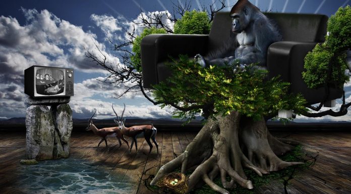 Disfruta una televisión ecológica