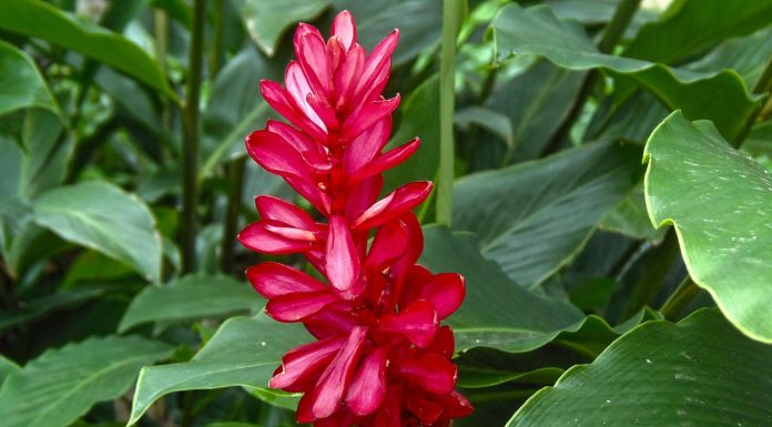 ¿Conoces los templos de la naturaleza?