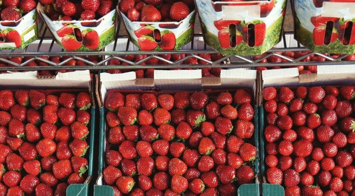 Frutas orgánicas: una excelente elección