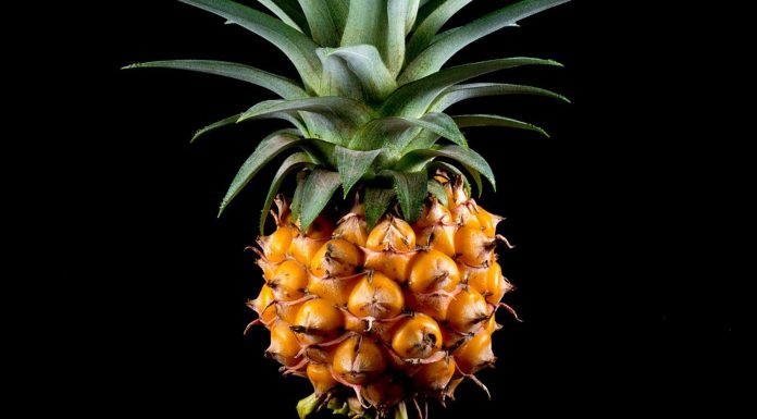 El poder desinflamatorio de la piña