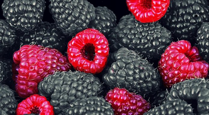 Beneficios de la comida ecológica