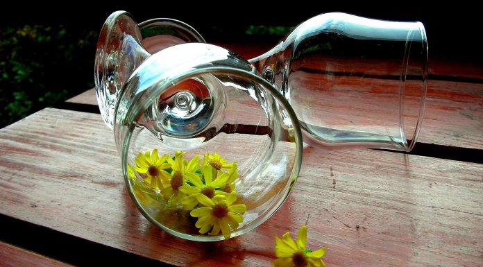 9 plantas medicinales para tener en casa