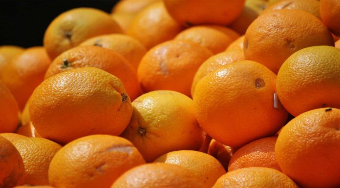 Cítricos: mejor plantar que comprar