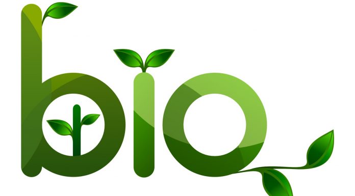 Alimentos ecológicos y buena salud