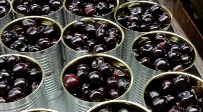 Peligros químicos del envasado de alimentos