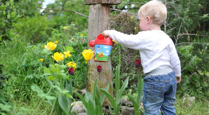 2 ecotrucos para los que aman su jardín