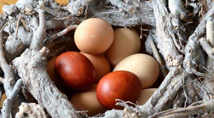 Huevos, un superalimento