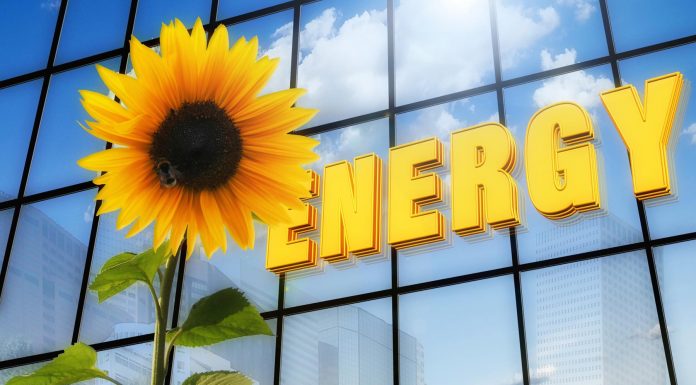 La celda solar más eficiente del mundo