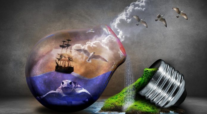 5 ecoinventos para todos los bolsillos