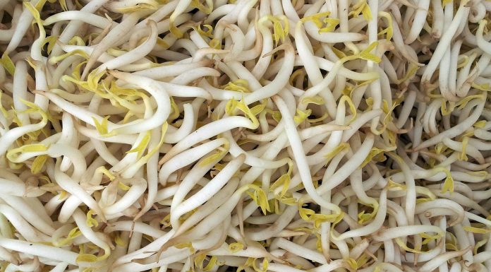 Rejuvelac, ideal para la dieta vegana