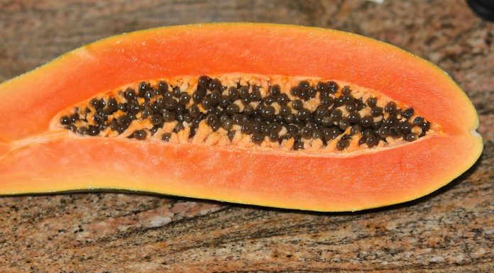 Bondades secretas de la papaya tropical