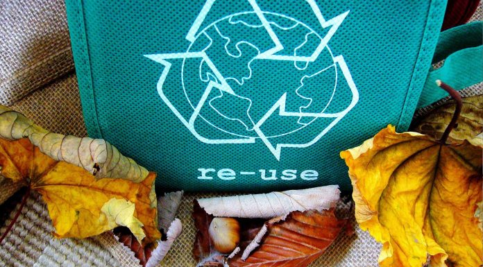 Lo que debes conocer de las ecoetiquetas