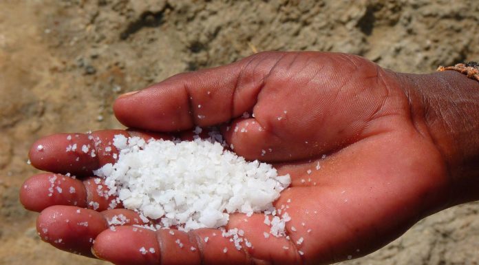 ¿Por qué es mejor consumir sal marina?