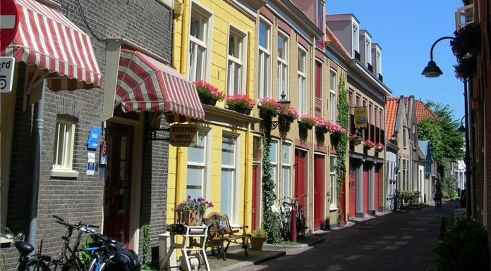 ¿Es tu casa un ecohogar?