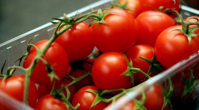 Tomate: poderoso aliado de tu salud
