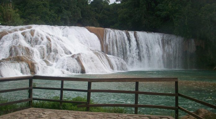 5 trucos para conservar el agua