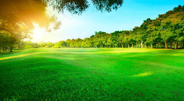 Césped artificial, una alternativa ecológica interesante Césped artificial, una alternativa ecológica interesante