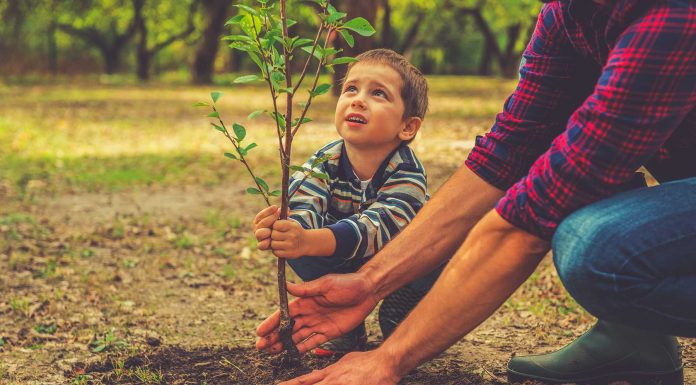 30 frases del medio ambiente para protegerlo de la actividad humana 30 frases del medio ambiente para protegerlo de la actividad humana 0
