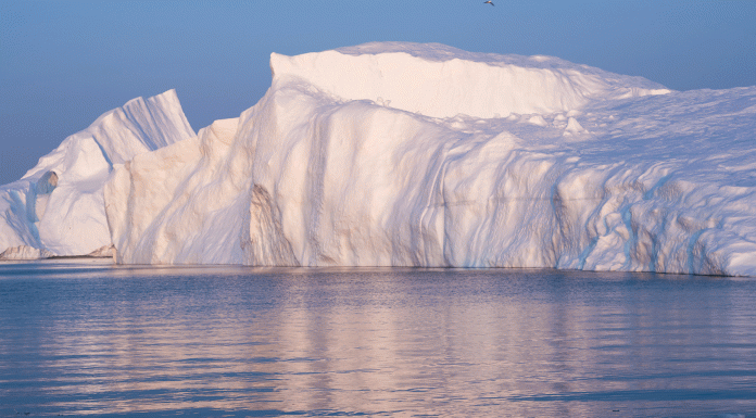 Las consecuencias del cambio climático | 6 graves amenazas Consecuencias del cambio climático