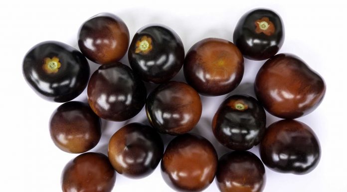 Tomate negro: sus poderes sanadores Tomate negro, sus poderes sanadores