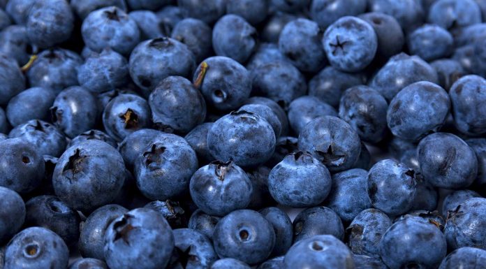 Beneficios de los arándanos para la salud Beneficios de los arandanos para la salud