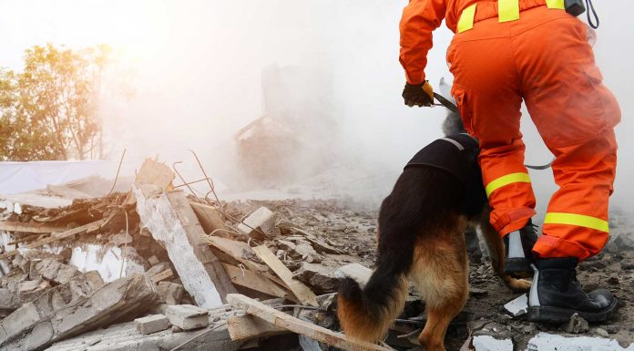 Los desastres naturales y su impacto emocional Los desastres naturales y su impacto emocional