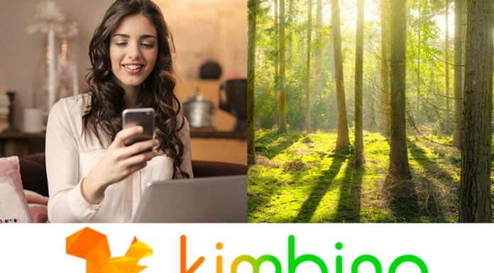 Cómo el e-commerce está ayudando a disminuir el desperdicio de papel Cómo el e-commerce está ayudando a disminuir el desperdicio de papel