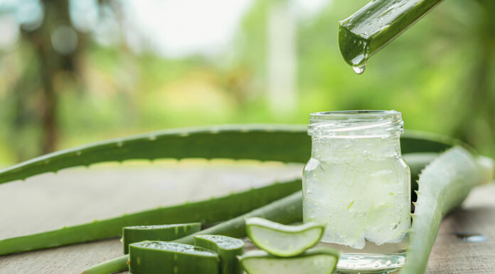 Aloe Vera, la planta de las mil maravillas beneficios aloe vera