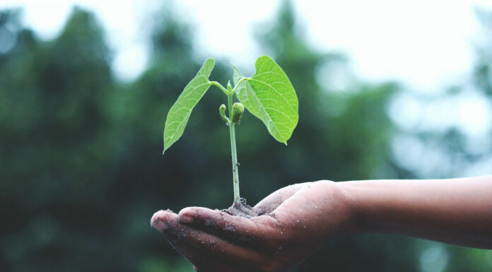 Retos del cambio climático: La otra cara de la minería cambio climatico 1