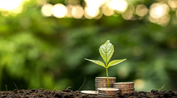 ¿Dónde invertir en este 2021?