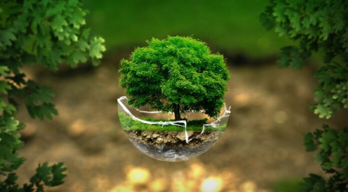 4 Ventajas en el Medio Ambiente de la transformación digital Ventajas en el Medio Ambiente de la transformación digital