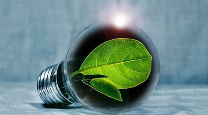 ¿Ahorrar energía sin gastar dinero? Sí, es posible ahorra energia sin gastar dinero