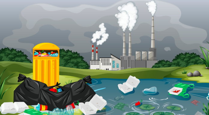 Consecuencias del capitalismo en el medio ambiente | Aún latentes Consecuencias del capitalismo en el medio ambiente