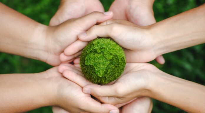 Día Mundial de la Ecología | Conmemorado el 1 de noviembre