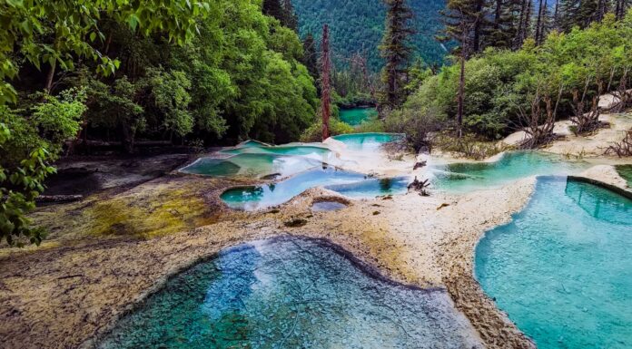 10 Reservas de la biosfera en el mundo | Naturaleza indómita