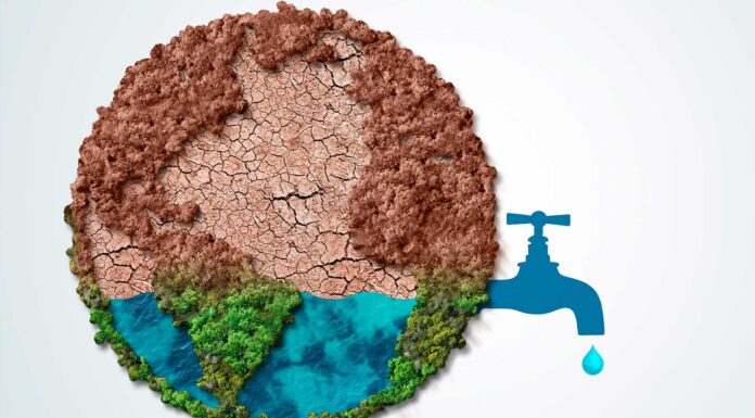 10 ideas para ahorrar agua | Fáciles, pero poderosas ideas para ahorrar agua