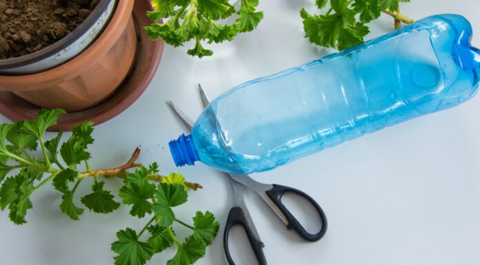 ¿Cómo reciclar botellas de plástico? | 8 Ideas para reutilizarlas