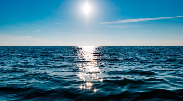 La importancia de los océanos | Fuente vital y regulador climático La importancia de los océanos