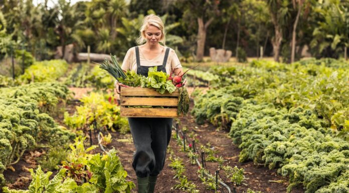 Agricultura orgánica | Qué es, beneficios y ejemplos agricultura ecológica