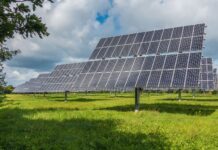 Los beneficios de los paneles solares en la agricultura Los beneficios de los paneles solares en la agricultura