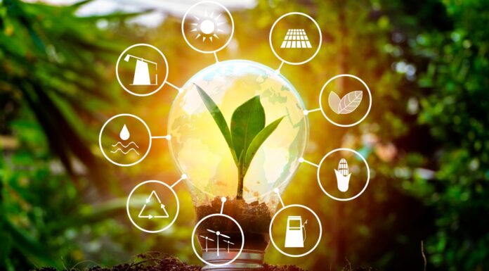 Alianza por el Autoconsumo | ¿Qué es y cuáles son sus miembros? Alianza por el autoconsumo