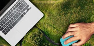 Lecciones verdes gamificadas: Juegos en línea gratuitos que inspiran conciencia ambiental juegos-que-generan-conciencia-ambiental