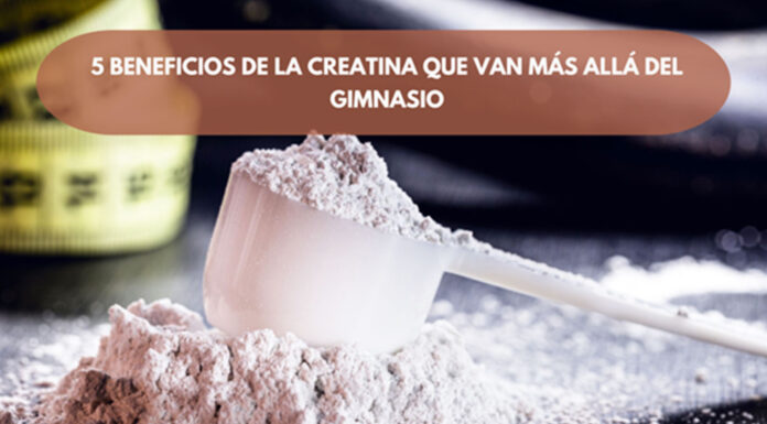 5 beneficios de la creatina que van más allá del gimnasio beneficios-de-la-creatina